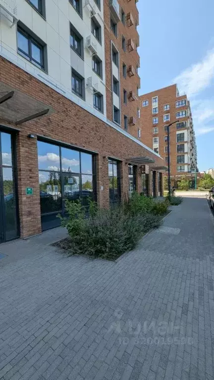 Помещение свободного назначения в Татарстан, Казань ул. Ярдем, 23 (280 ... - Фото 1