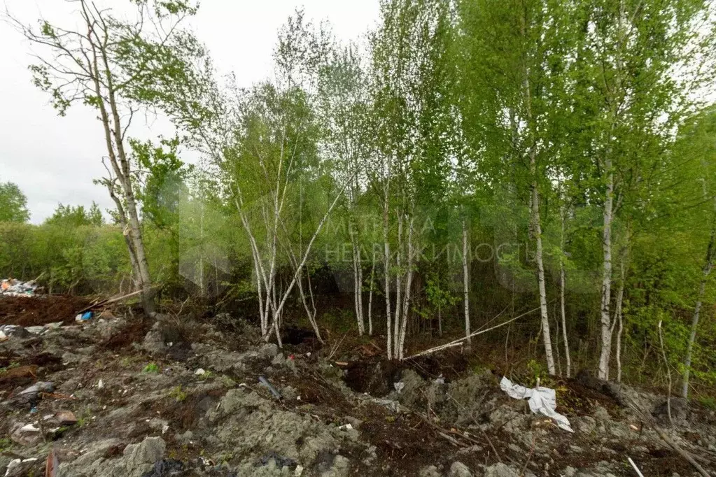 Участок 10,1 сот. (СНТ, ДНП) - Фото 1