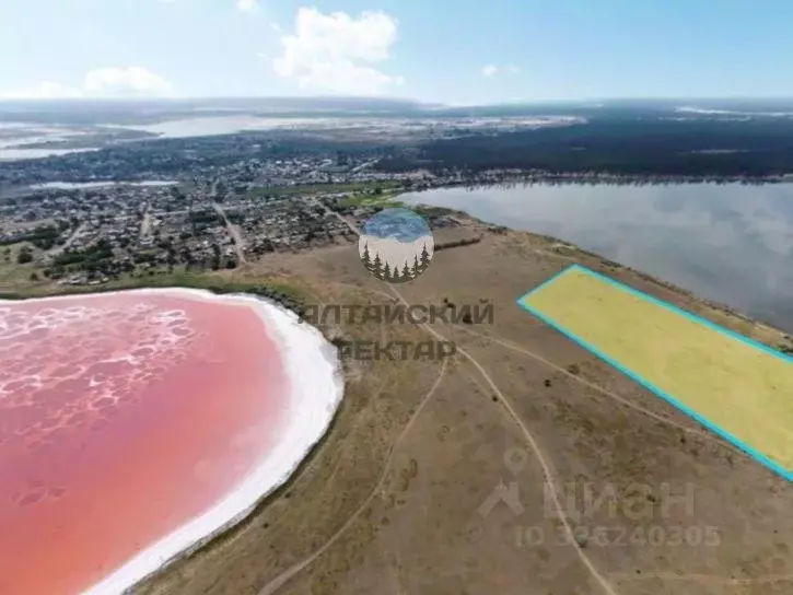 Участок в Алтайский край, Михайловский район, Малиновое Озеро рп  ... - Фото 1