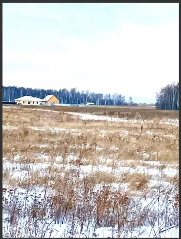 Участок в Тюменская область, Тюменский район, с. Горьковка  (6.3 сот.) - Фото 0