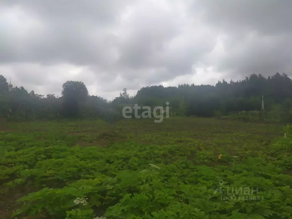 Участок в Смоленская область, Смоленск пос. Загорье,  (15.0 сот.) - Фото 0