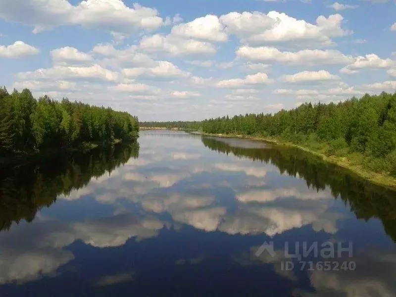 Участок в Орловская область, Орловский район, д. Кондырева  (25.0 ... - Фото 1