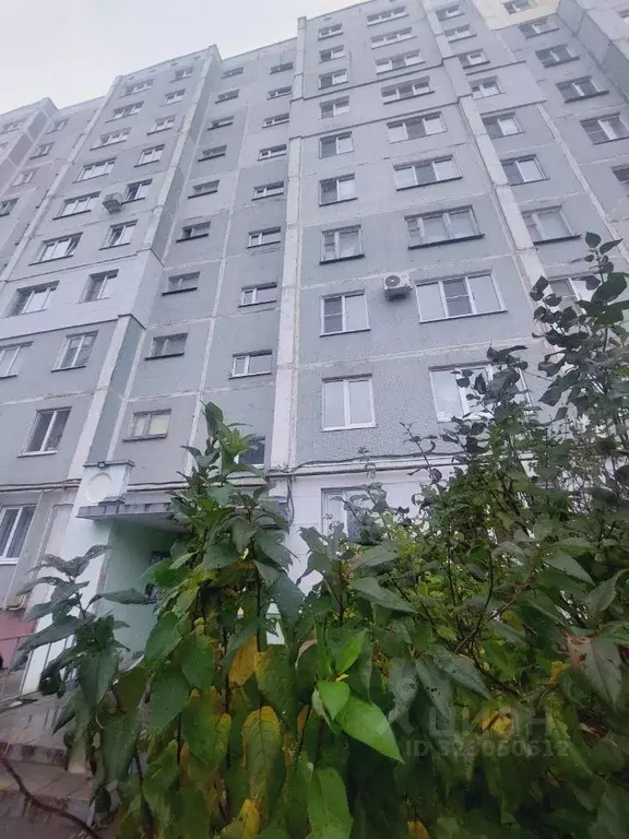 2-к кв. Калужская область, Калуга Молодежная ул., 11 (51.0 м) - Фото 1