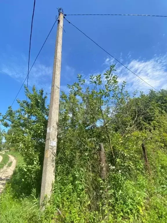 Участок в Брянская область, Брянский район, Снежское с/пос, пос. ... - Фото 1