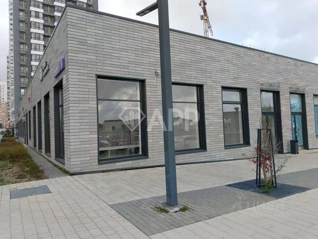 Помещение свободного назначения в Краснодарский край, Новороссийск ... - Фото 1