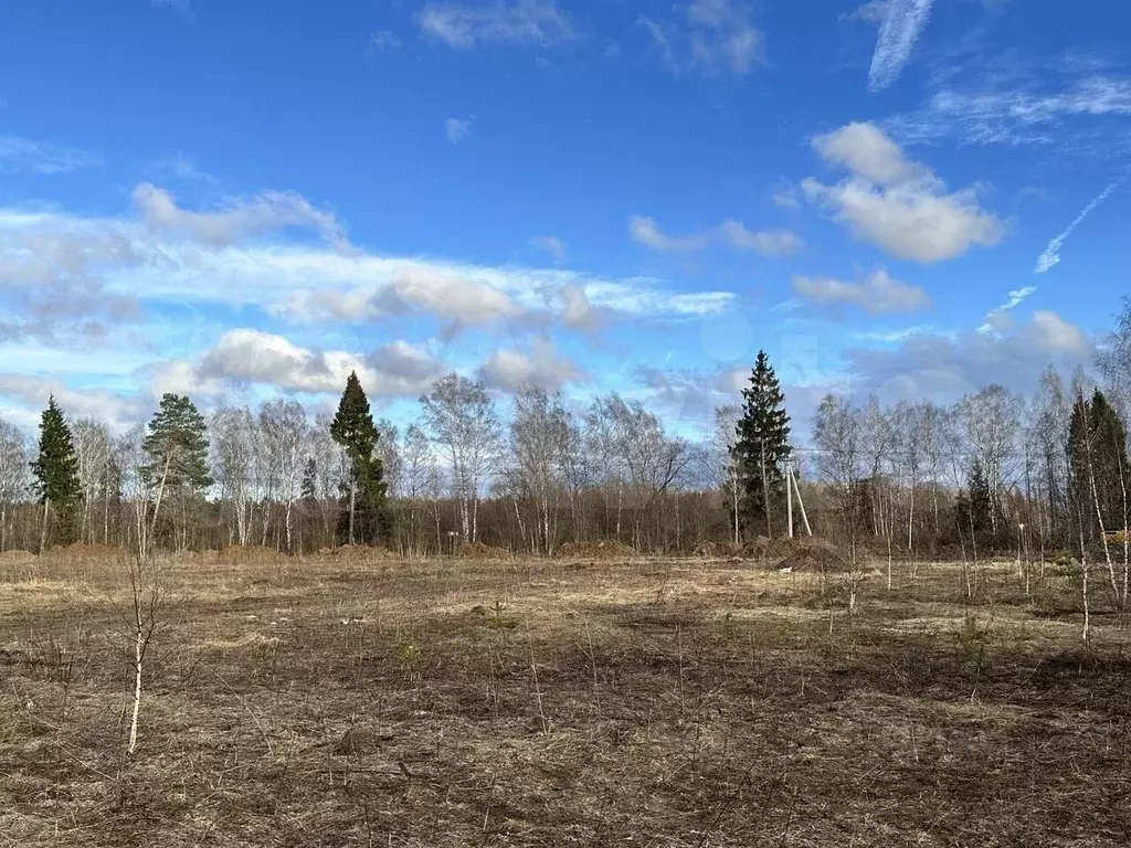 Участок в Московская область, Чехов городской округ, д. Шарапово  (6.0 ... - Фото 0