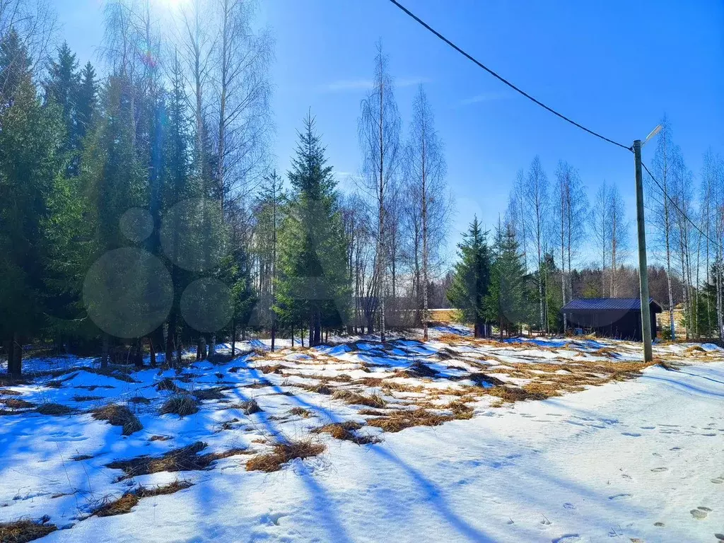 Участок 20 сот. (СНТ, ДНП) - Фото 1