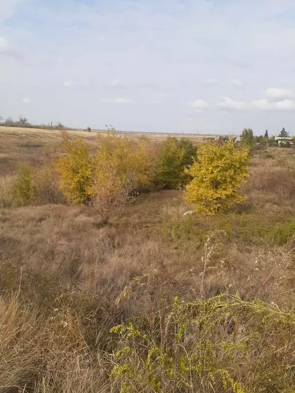 Участок в Волгоградская область, Волгоград Железнодорожник СНТ,  (21.0 ... - Фото 1