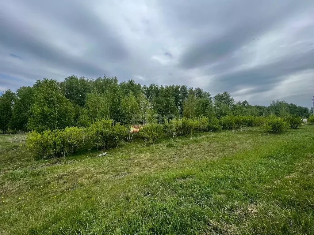 Купить Землю Под Ижс В Красноярска