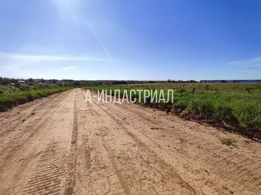 Участок в Московская область, Подольск городской округ, д. Валищево, ... - Фото 2