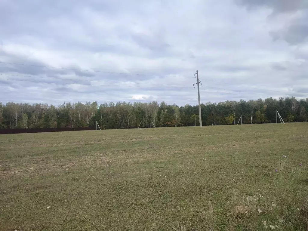 Участок в Тульская область, Ясногорский район, Иваньковское с/пос, д. ... - Фото 1