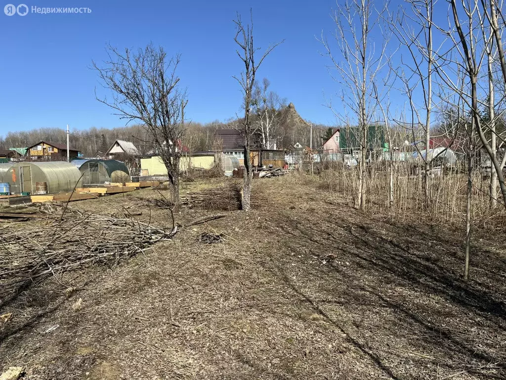 Участок в Хабаровский район, СНТ Берёзка (13.179999 м) - Фото 1