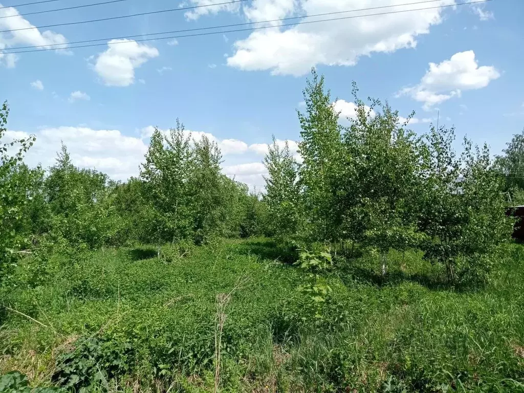 Участок в Московская область, Воскресенск городской округ, д. ... - Фото 1