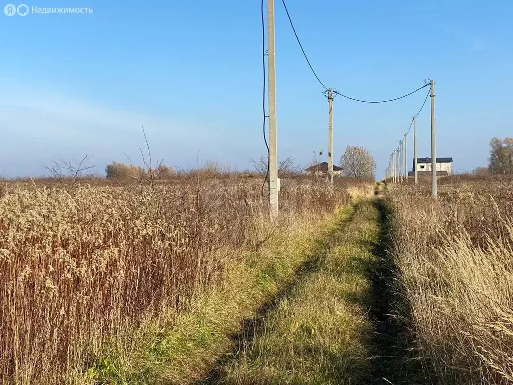 Участок в Калининградская область, Гурьевский муниципальный округ, ... - Фото 2