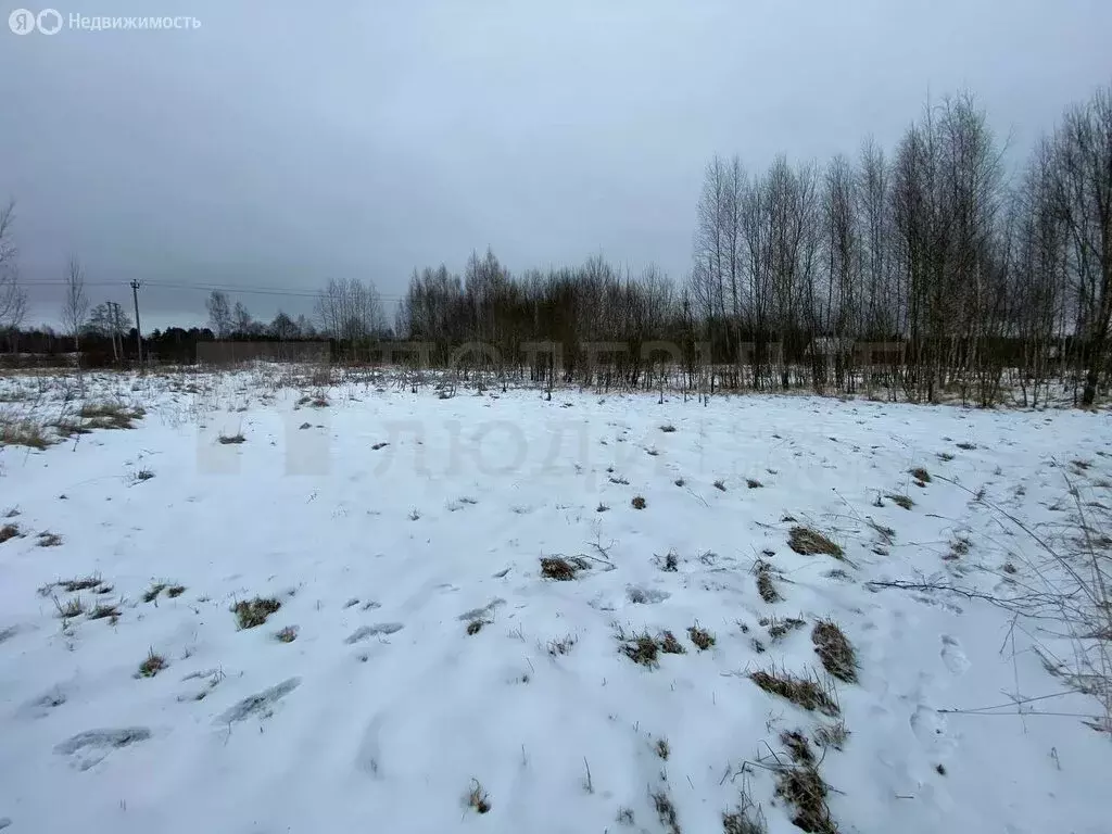 Участок в Боровичский район, Ёгольское сельское поселение, деревня ... - Фото 1