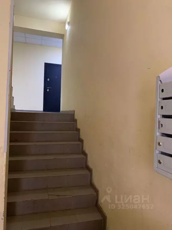 Студия Московская область, Пушкинский городской округ, с. Тарасовка ... - Фото 2