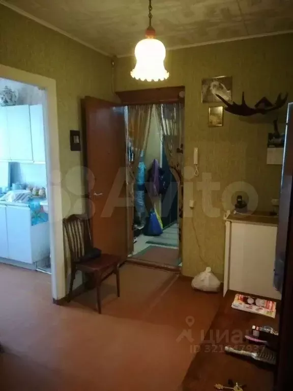 3-к кв. Костромская область, Кострома ул. Шагова, 205 (60.8 м) - Фото 1