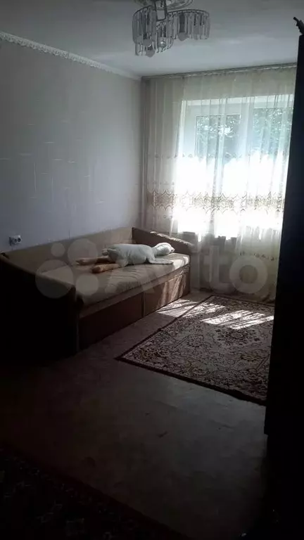 3-к. квартира, 68 м, 3/9 эт. - Фото 1