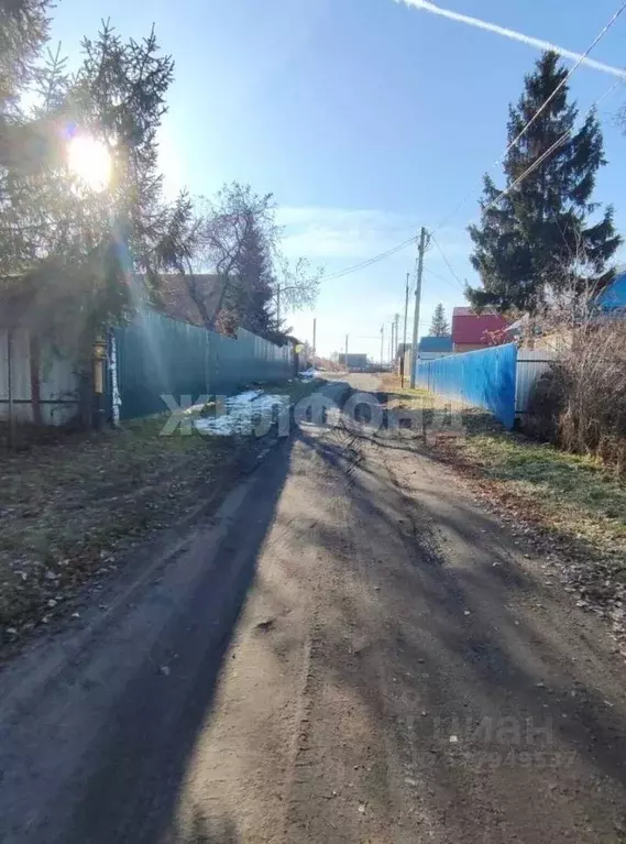 Участок в Новосибирская область, Новосибирский район, с. Криводановка ... - Фото 2