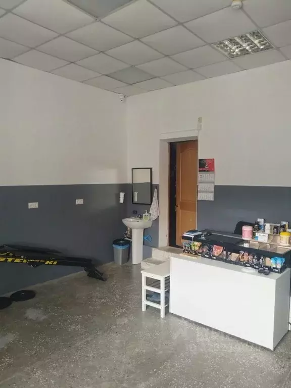 Помещение свободного назначения в Новосибирская область, Новосибирск ... - Фото 1