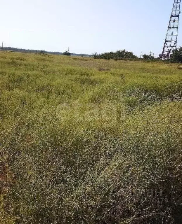 Участок в Краснодарский край, Ейский район, Александровское с/пос, с. ... - Фото 2
