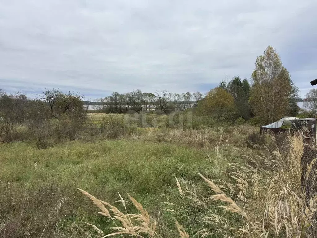 Участок в Псковская область, Себеж городское поселение, д. Затурье ул. ... - Фото 1
