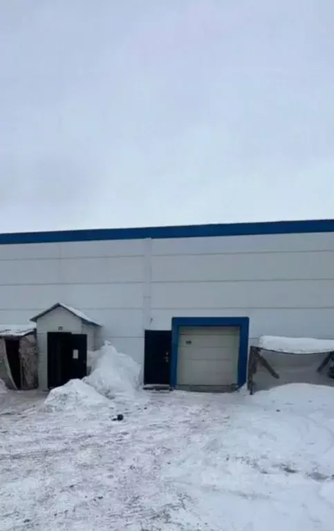 Помещение свободного назначения в Новосибирская область, Новосибирский ... - Фото 1