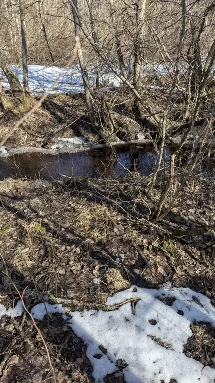 Участок в Ленинградская область, Выборгский район, Советское городское ... - Фото 1