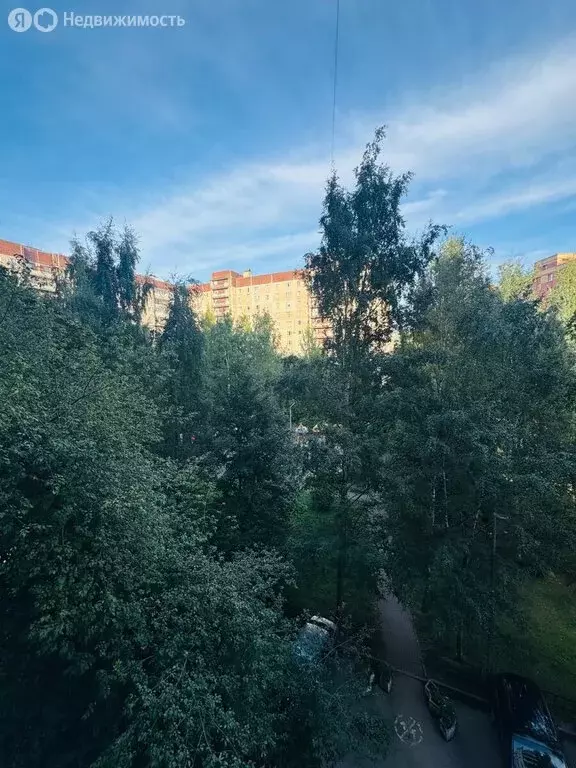2-комнатная квартира: Санкт-Петербург, проспект Испытателей, 28к4 ... - Фото 2