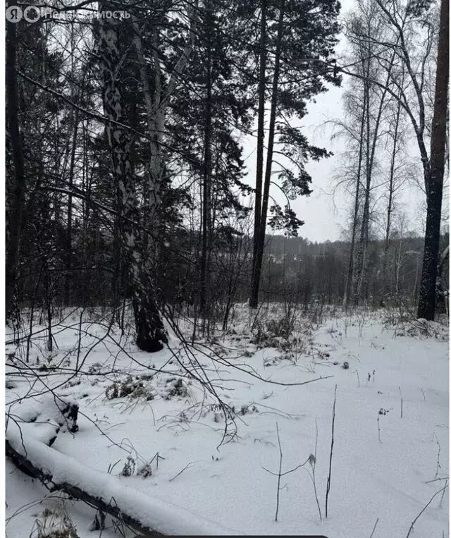 Участок в Красноярск, СНТ Ветеран-6А (13 м) - Фото 1