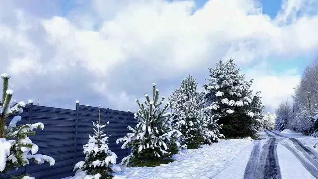 Участок в Московская область, Дмитровский муниципальный округ, с. ... - Фото 2