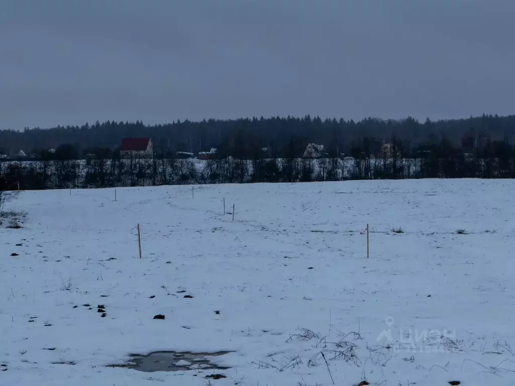 Участок в Московская область, Шаховская городской округ, с. Белая ... - Фото 1