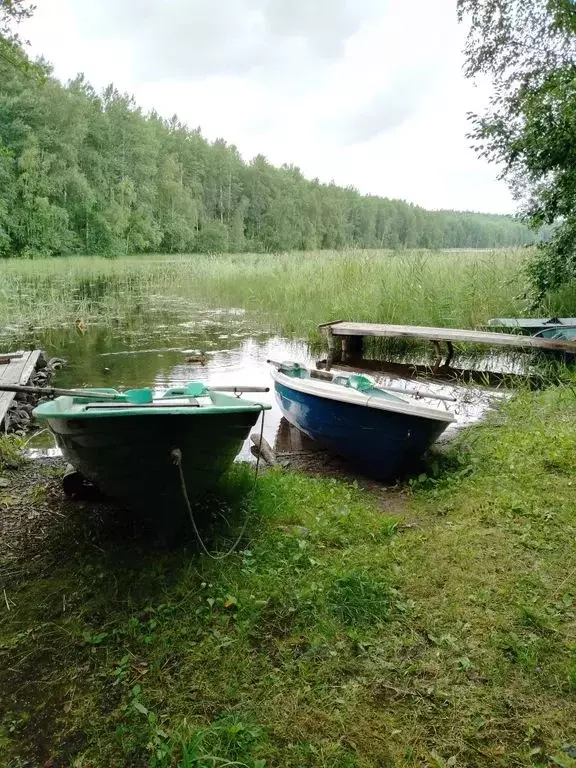 Дом в Карелия, Кондопожский район, Петровское с/пос, д. Мунозеро, ... - Фото 0