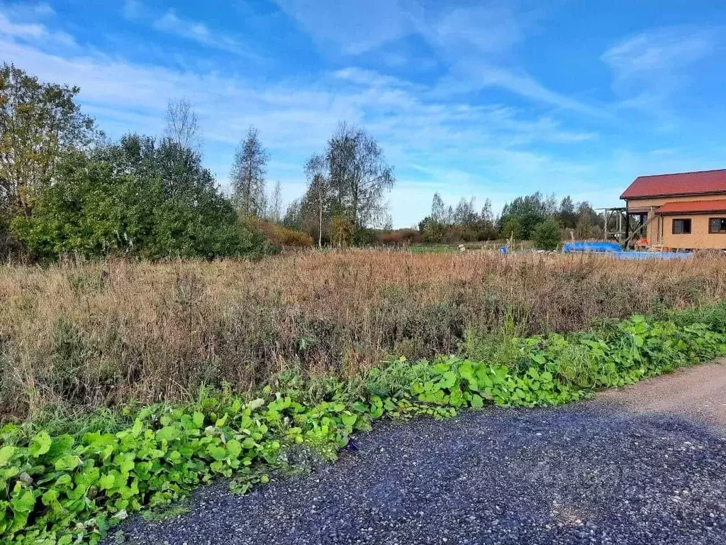 Участок в Псковская область, Гдов ул. Загородная (15.0 сот.) - Фото 1