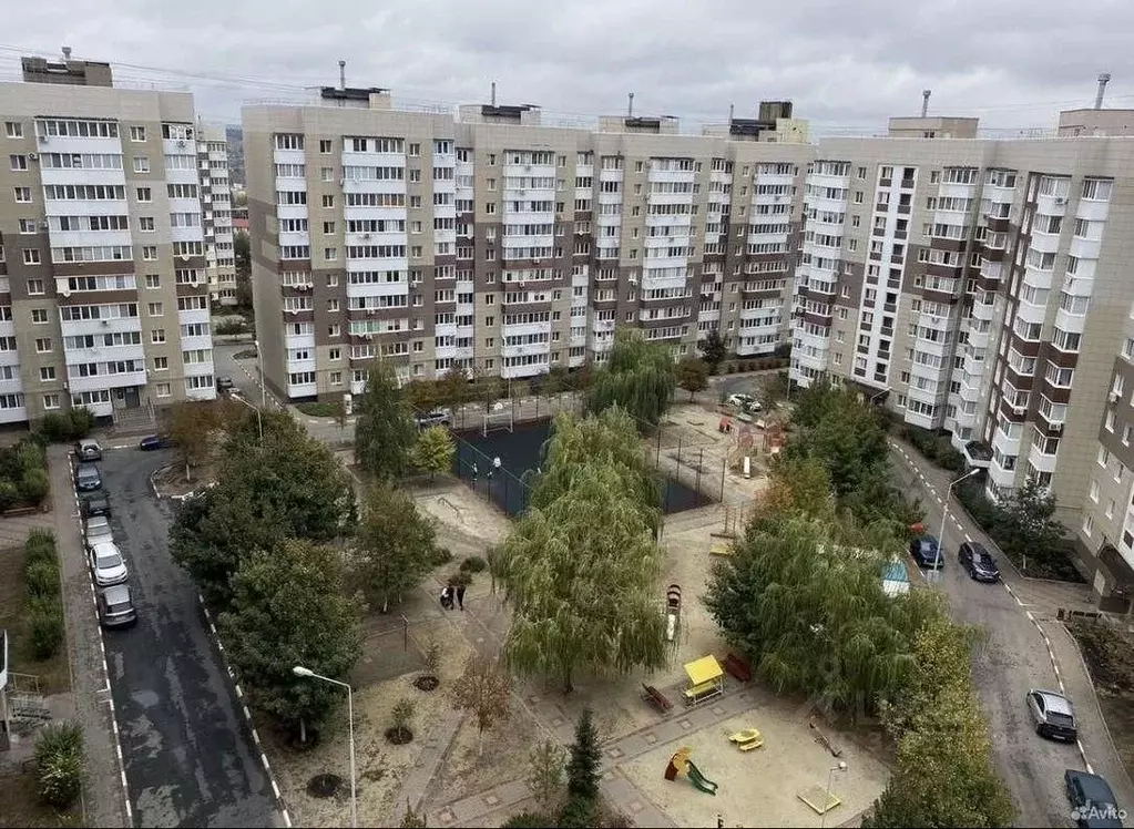 1-к кв. Белгородская область, Белгород бул. Строителей, 39 (34.0 м) - Фото 1