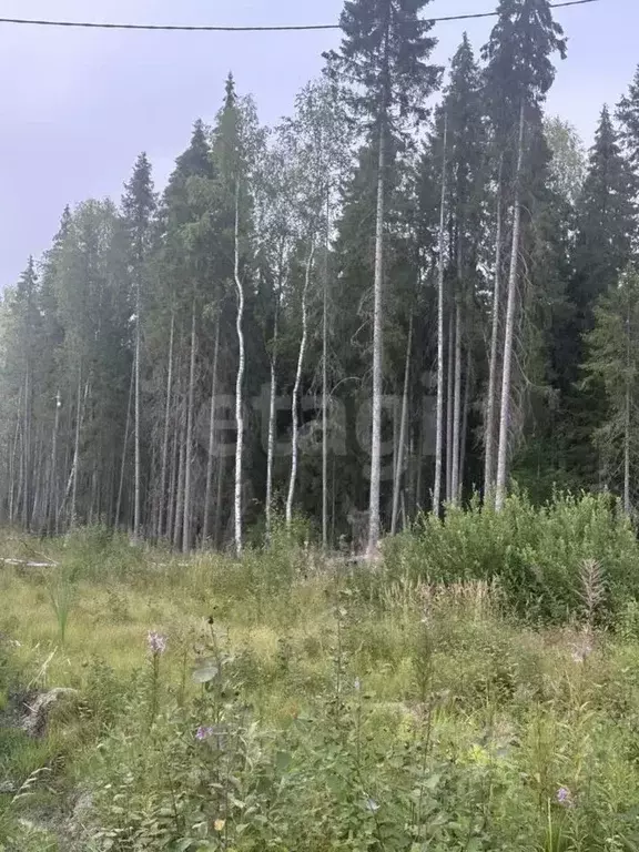 Участок в Коми, Сыктывкар Емваль мкр,  (13.45 сот.) - Фото 0