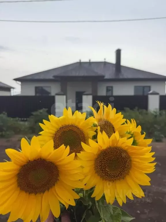 Дом в Саратовская область, Энгельсский район, Новопушкинское ... - Фото 1