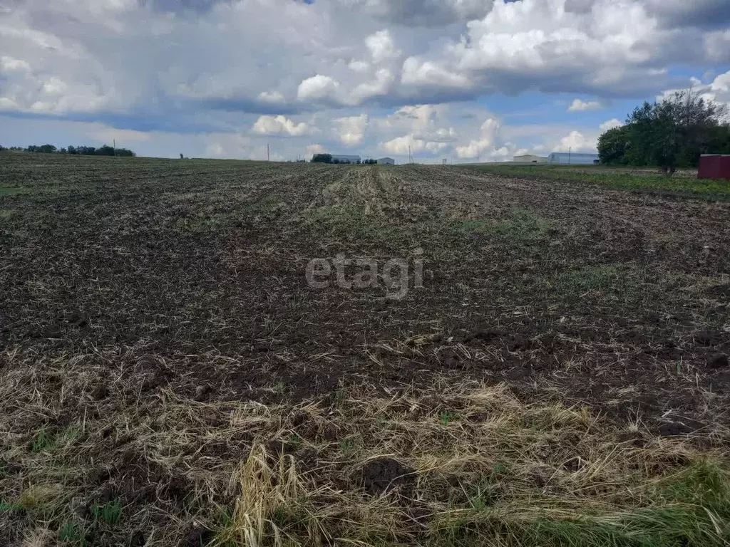 Участок в Белгородская область, Губкинский городской округ, с. ... - Фото 1