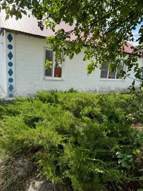 Дом в Саратовская область, пос. Сергиевский ул. Железнодорожная (75 м) - Фото 2