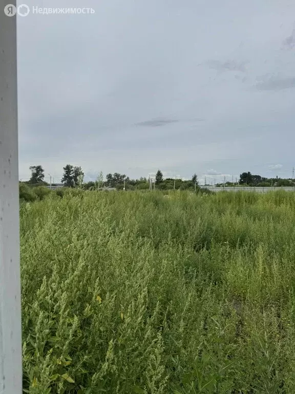 Участок в Благовещенск, микрорайон 5-я Стройка (8.1 м) - Фото 1