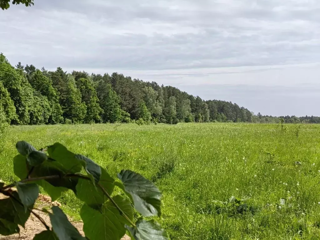 Участок в Московская область, Серпухов городской округ, д. Тверитино  ... - Фото 2
