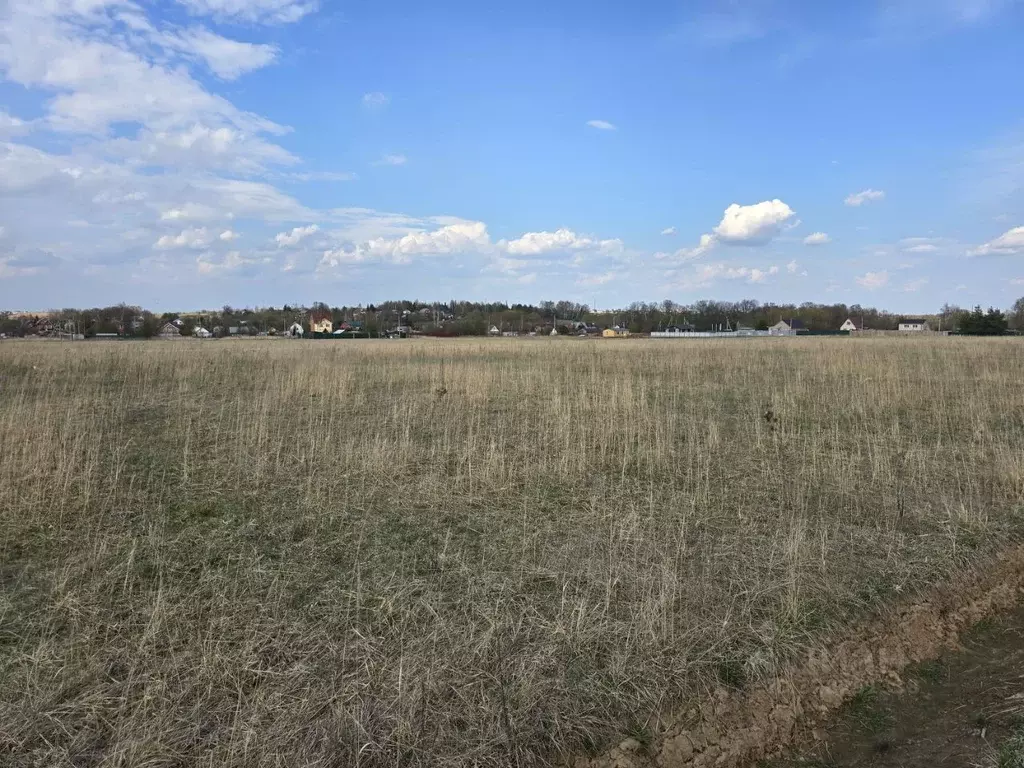Участок в Московская область, Раменский муниципальный округ, Давыдово ... - Фото 2