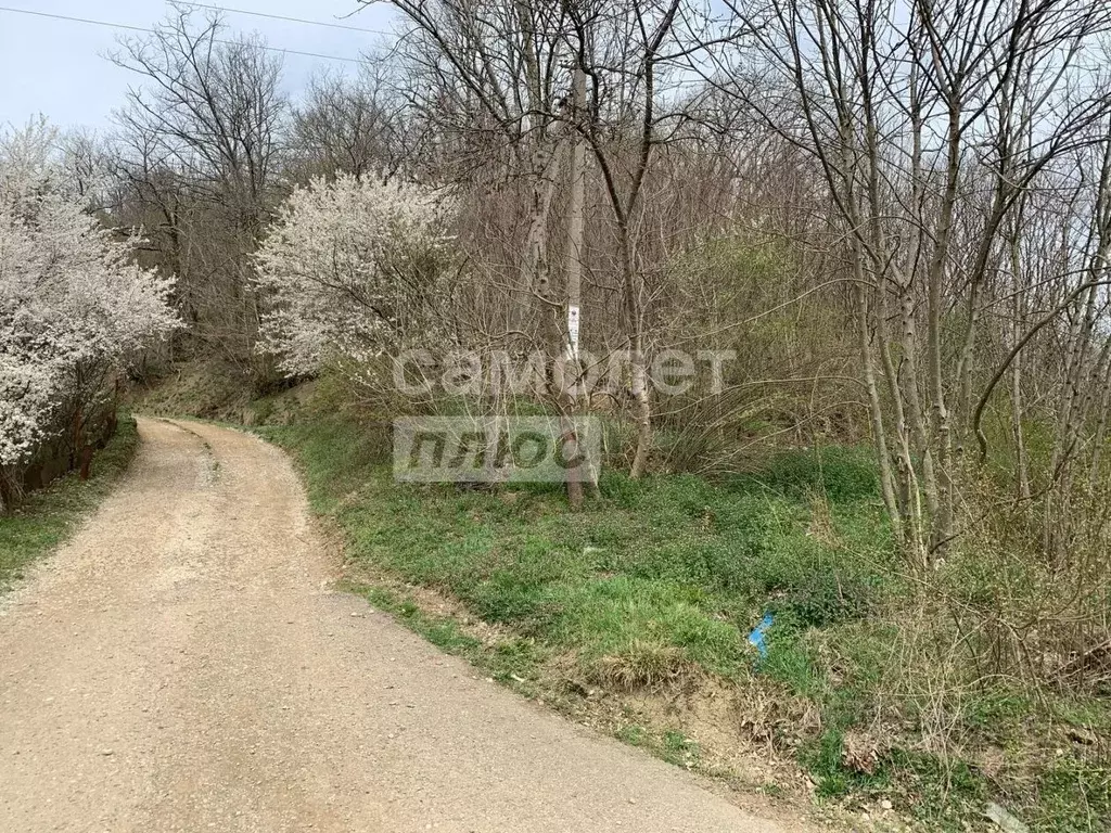 Участок в Краснодарский край, Туапсинский муниципальный округ, с. ... - Фото 0