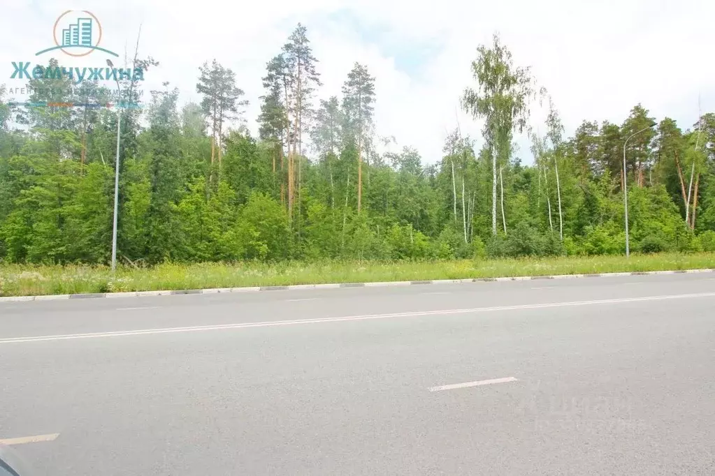 Участок в Ульяновская область, Димитровград ул. Курчатова (10.0 сот.) - Фото 0