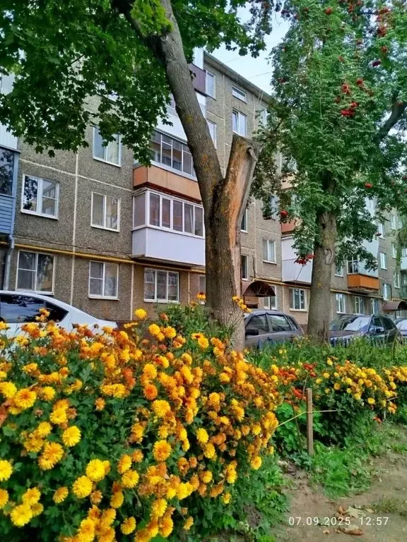 2-к кв. Орловская область, Орел ул. Латышских Стрелков, 79 (46.1 м) - Фото 0