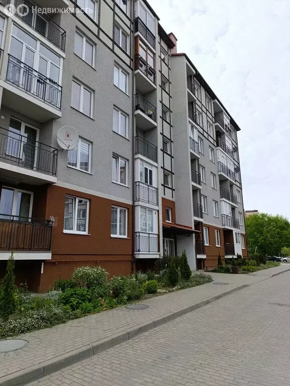 1-комнатная квартира: Светлогорск, Тихая улица, 8 (24.1 м) - Фото 0