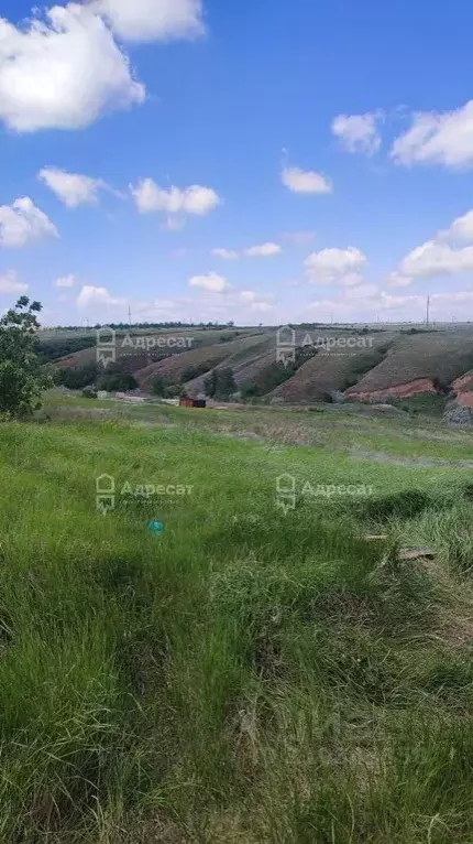 Участок в Волгоградская область, Городище рп, СНТ усадьба ул. 7-я ... - Фото 1