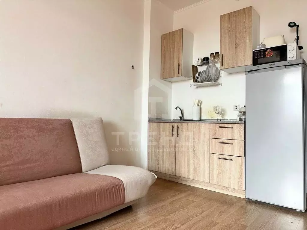 Студия Санкт-Петербург ул. Адмирала Черокова, 20 (24.1 м) - Фото 1