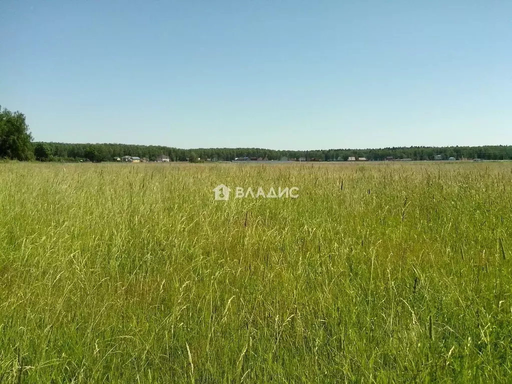 Участок в Ивановская область, Ивановский муниципальный округ, с. ... - Фото 2