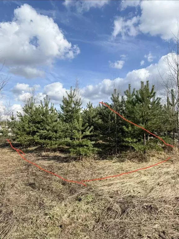 Участок, 8 сот., поселения (ижс) - Фото 1